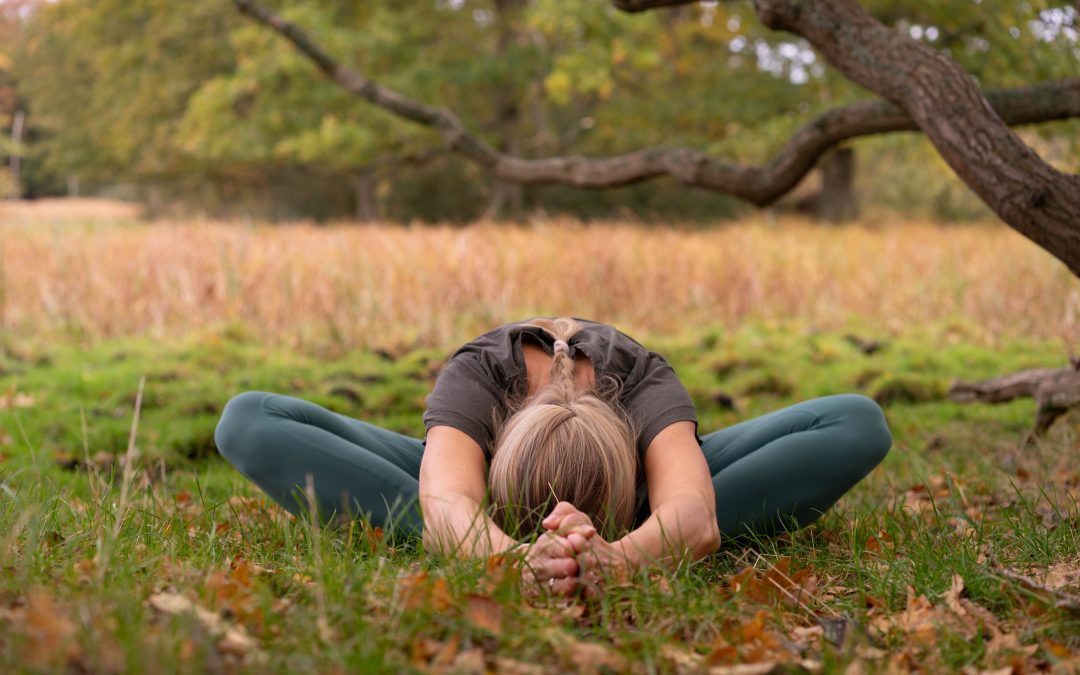 Yogalæreruddannelse – Terapeutisk Yin Yoga