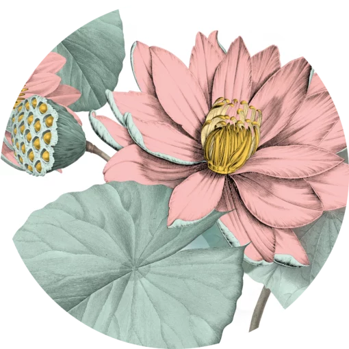"Lotus blomst" - Flow the termoflaske med infuser - Image 3