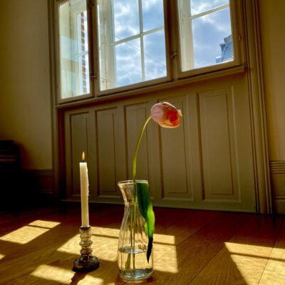 Yoga workshops, Sjælland og København