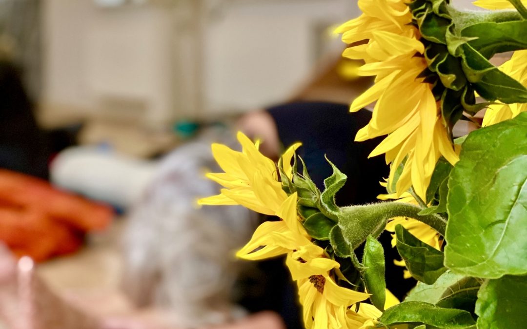 Vitalitet hele livet – en Kundalini Yoga workshop