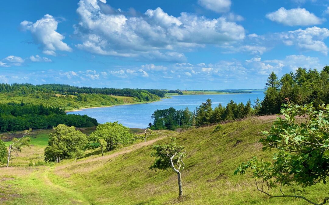 Sommerdage med natur og yoga i smukke Thy (fuldt booket)