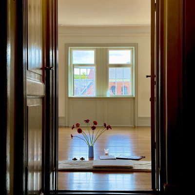 Yoga workshops i Gotved Instituttet 2027