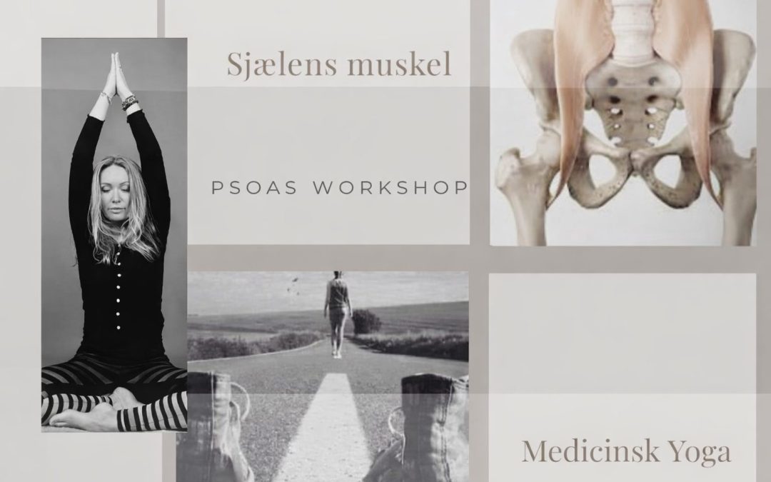 Psoas workshop – sjælens muskel