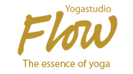 Studio Flow Yoga