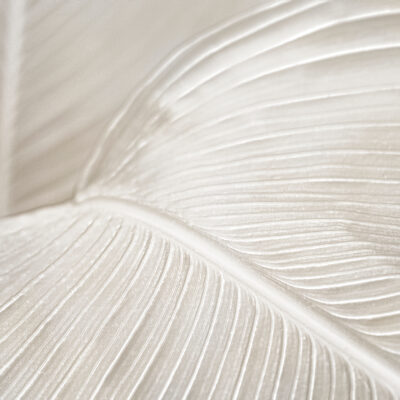 Styrk din skjoldbruskkirtel og slip stress - Kundalini Yoga den 16. august 2026