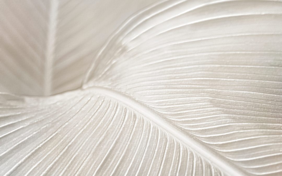 Styrk din skjoldbruskkirtel og slip stress – en Kundalini Yoga workshop