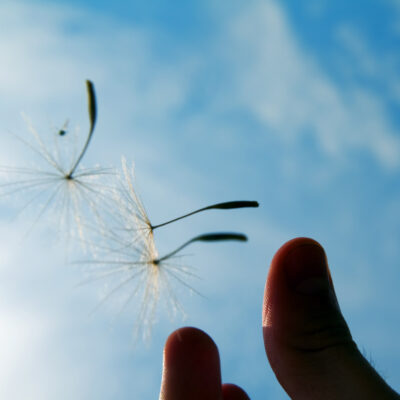 Sommer og Pranayama - Kundalini Yoga workshop den 21. juni 2026