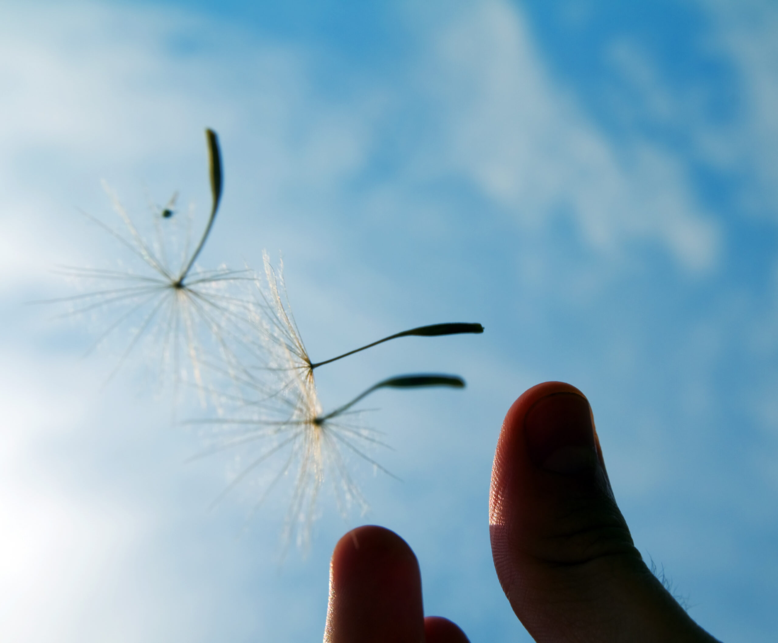 Sommer og Pranayama - Kundalini Yoga workshop den 7. juni 2026