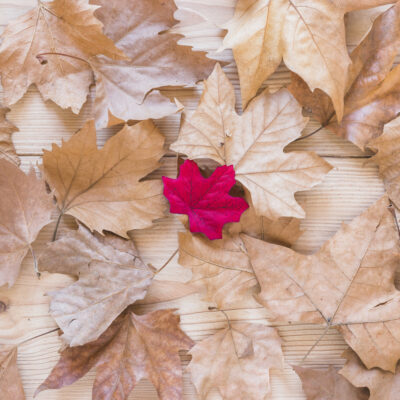 Bagom den fysiske krop - Kundalini Yoga workshop den 4. oktober 2026