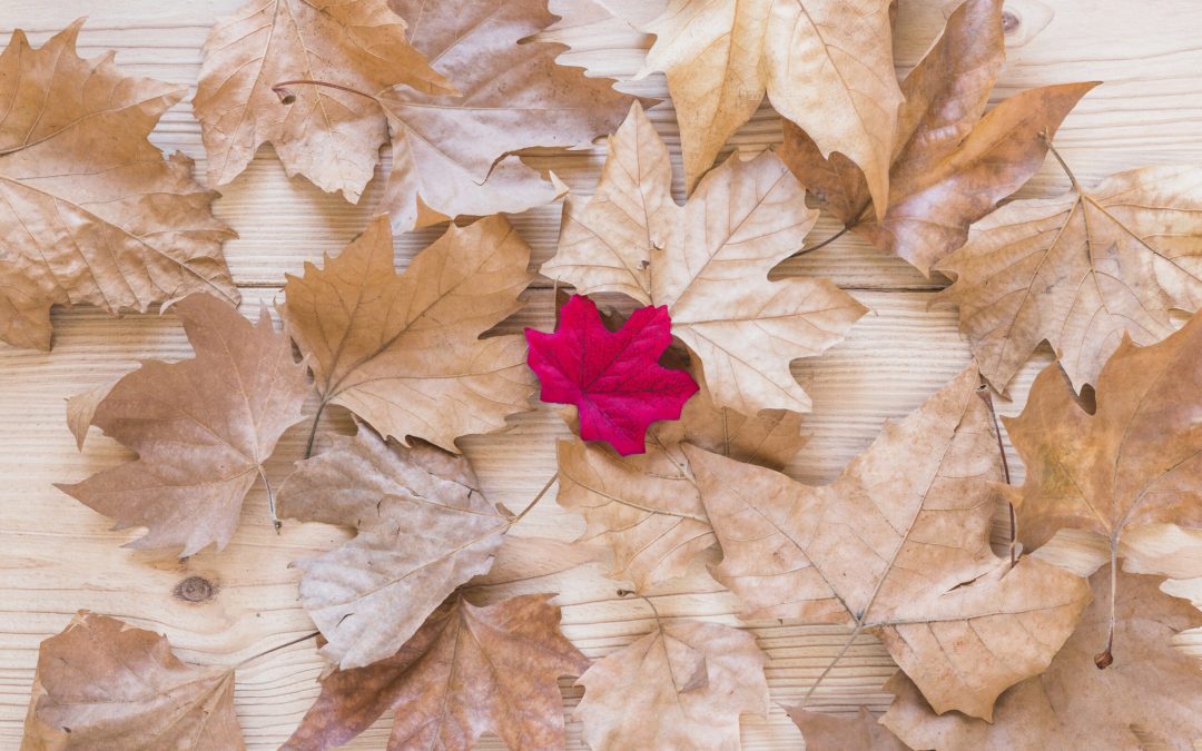 Bagom den fysiske krop – en Kundalini Yoga workshop