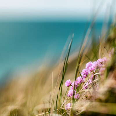 Håb og tillid - en Kundalini Yoga workshop den 12. april 2026