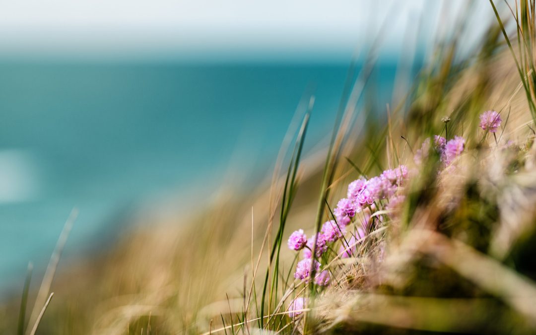 Håb og tillid – en Kundalini Yoga workshop